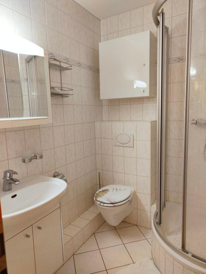 Apartment Brockenblick Mit Tollen Blick Und Schwimmbad Браунлаге Екстер'єр фото